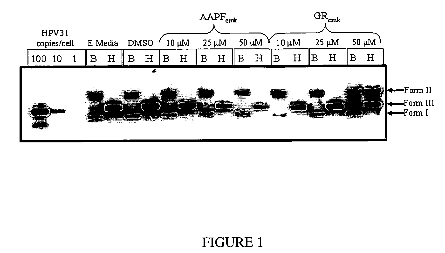 Compositions and methods for inhibiting abnormal cell growth