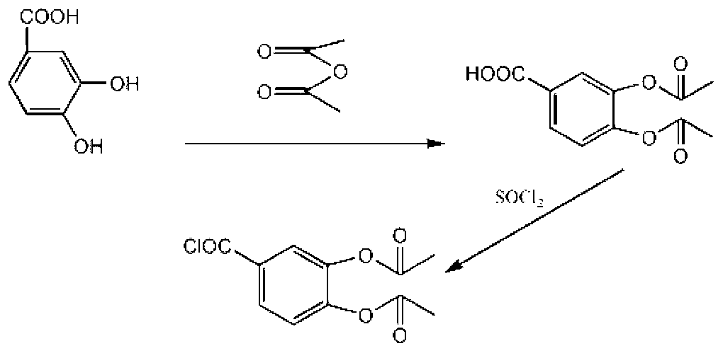 Method for modifying function gelatin