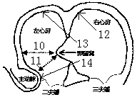 Interatrial septum puncture tool