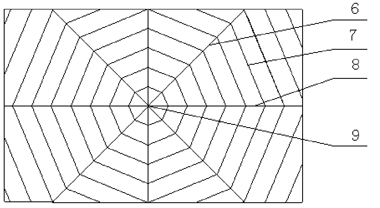 Araneose corrugated board