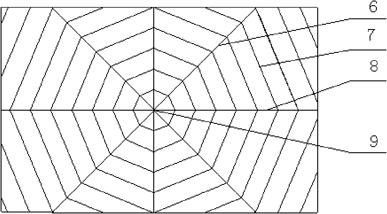 Araneose corrugated board