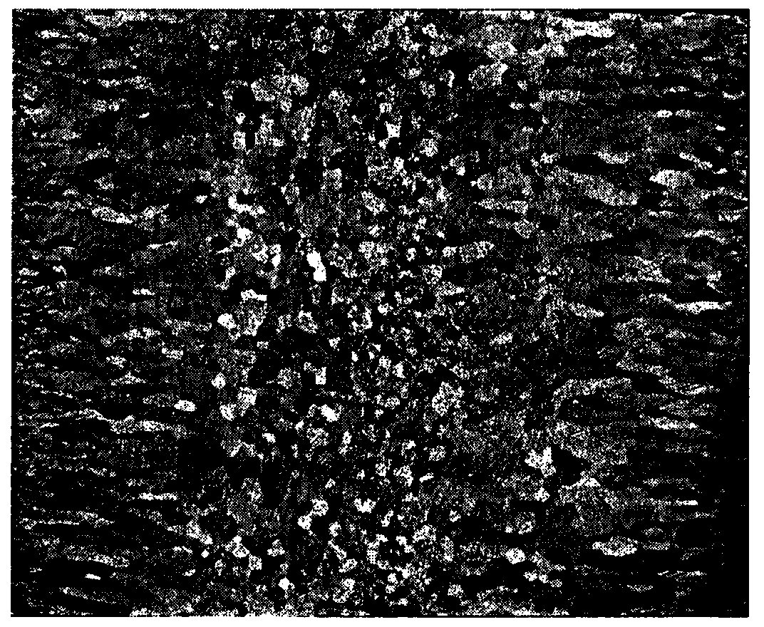 Freeze-etching agent of ultra-low-carbon steel casting billet macrograph grain structure, and preparation method thereof