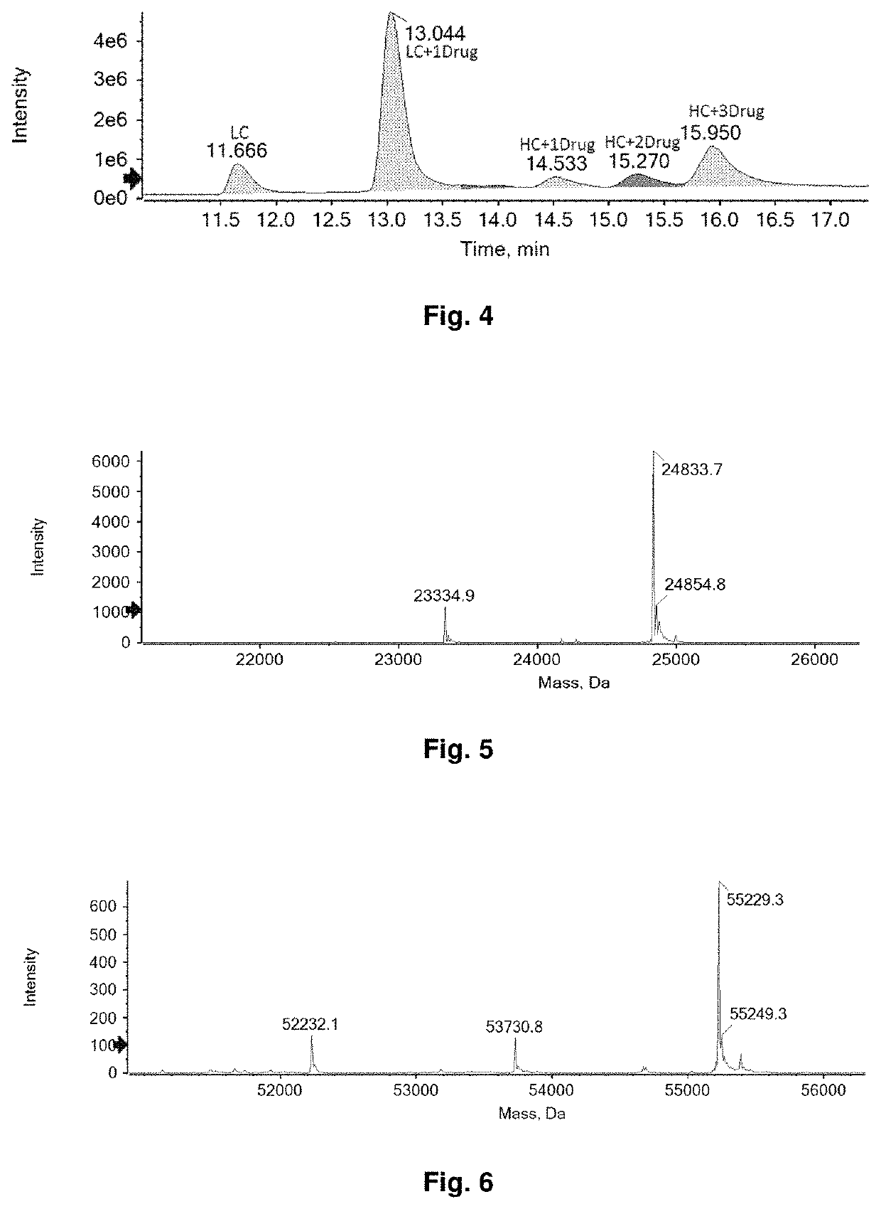 Bioactive conjugate, preparation method therefor and use thereof