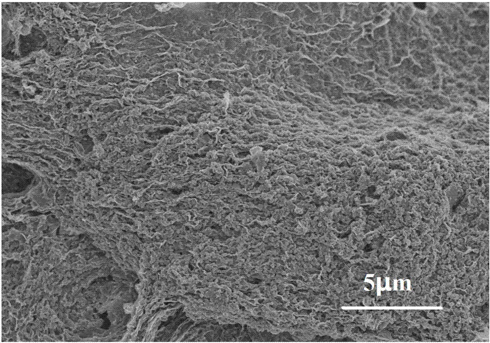 Preparation method of graphene-loaded iron oxide self-assembly mulberry-like structure negative electrode material of lithium-ion battery
