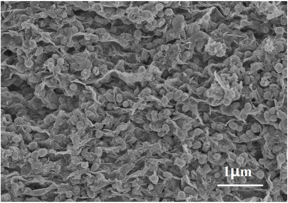 Preparation method of graphene-loaded iron oxide self-assembly mulberry-like structure negative electrode material of lithium-ion battery