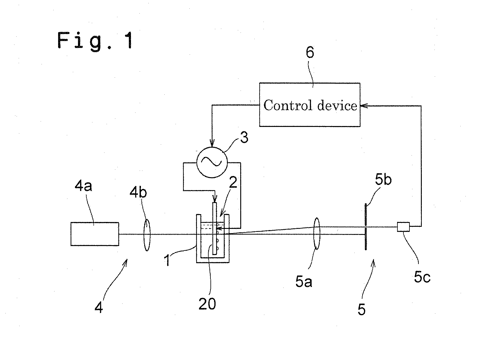 Optical measurement apparatus and electrode pair thereof