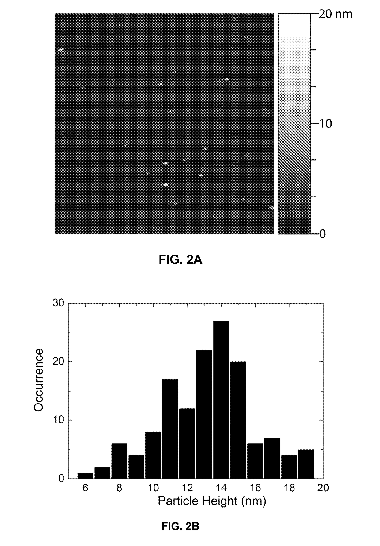 Functionalized chromophoric polymer dots and bioconjugates thereof