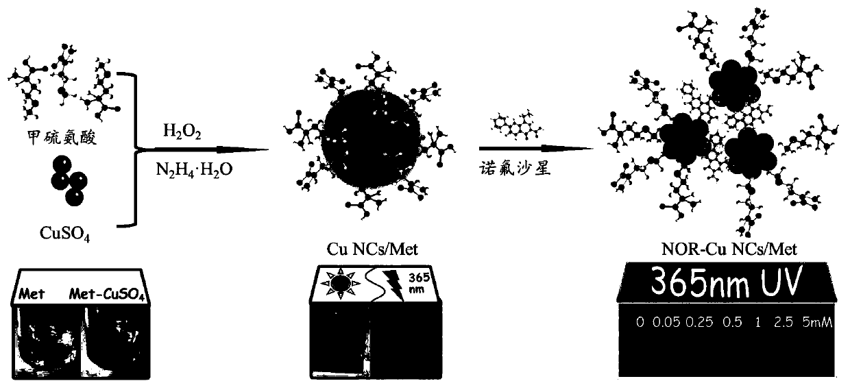 Preparation method for orange red fluorescent copper nanocluster based on L-methionine