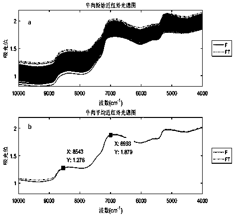 Rapid identification method of chilled grain fed beef and frozen fresh beef