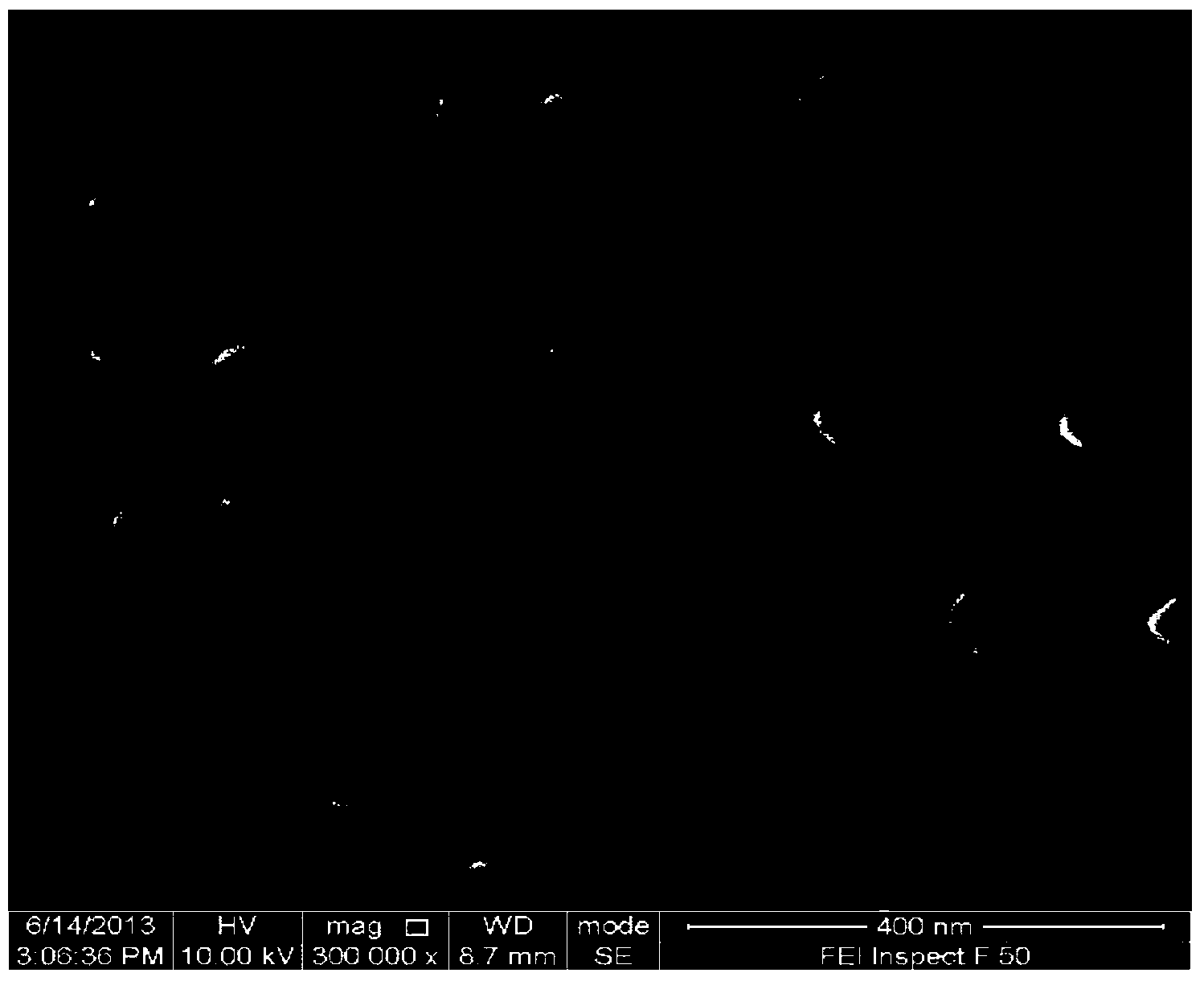 Magnetic pirarubicin nano-drug composite