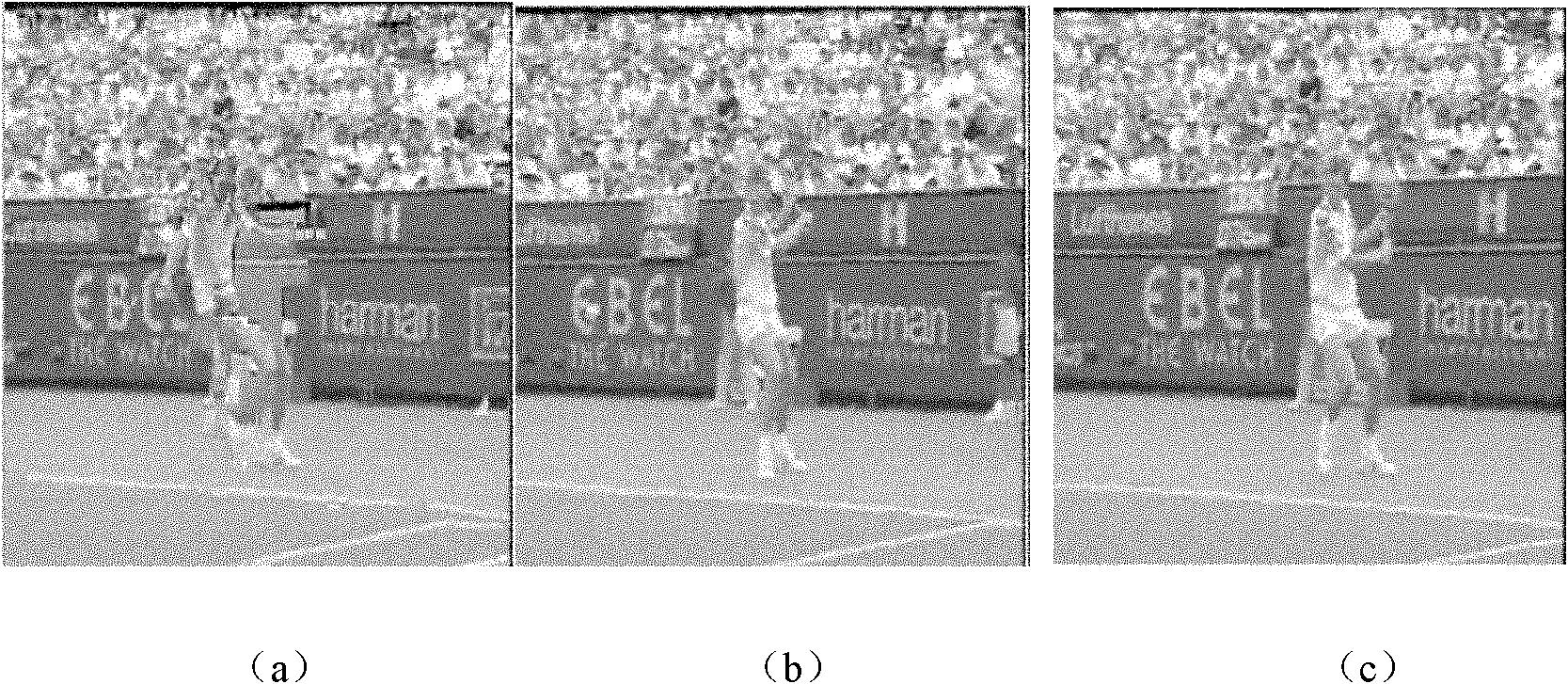 Video service quality-based hybrid selective repeat method