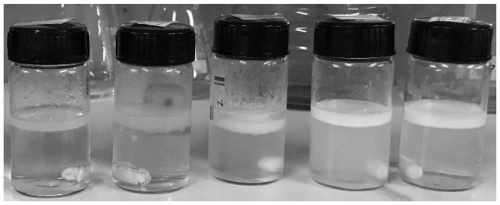 Bacterial cellulose/emu oil composite film and preparation method thereof