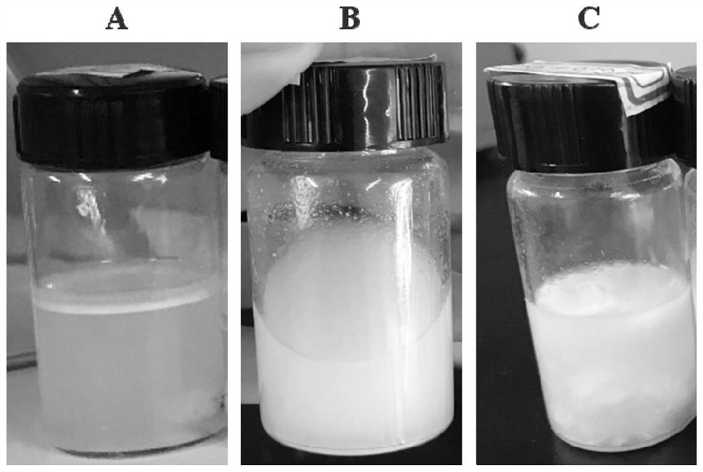 Bacterial cellulose/emu oil composite film and preparation method thereof