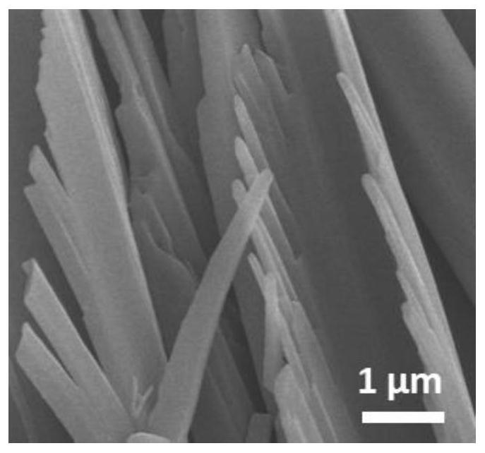 A method for the synergistic and controllable preparation of organic semiconductor nanowires