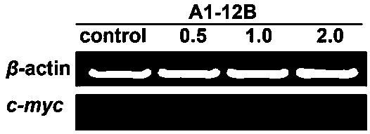 A kind of quinazolinone and α, β-unsaturated ketone conjugate derivative and its preparation method and application