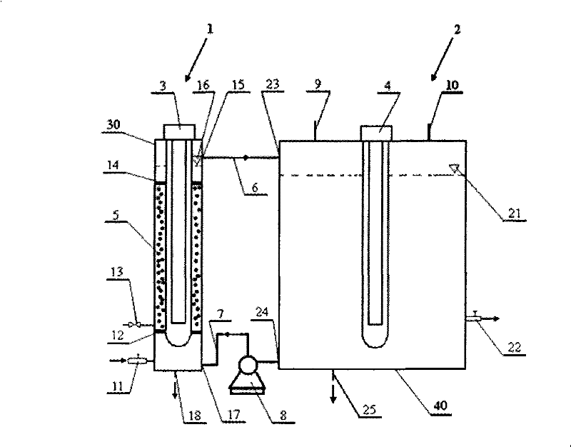 Wastewater treatment system and water treatment method based on photochemical reaction