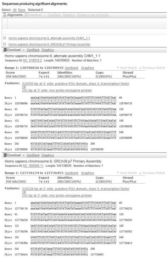 A method for obtaining myc gene in human tissue by two-step overlapping PCR method