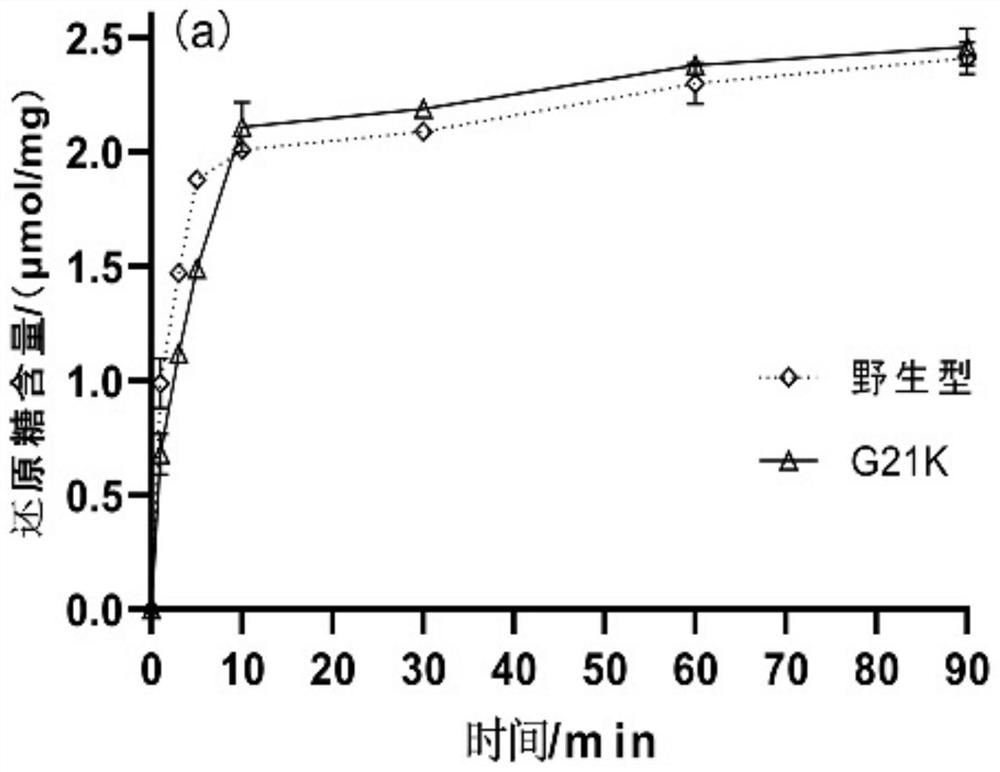 Chitosanase mutant G21K and application thereof