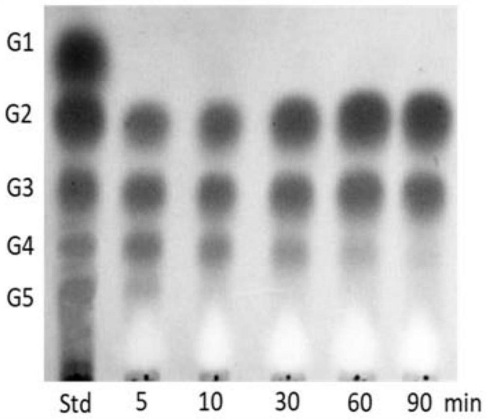 Chitosanase mutant G21K and application thereof