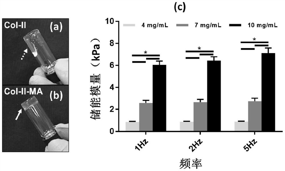 Preparation method of type II collagen hydrogel that induces chondrogenic differentiation of stem cells