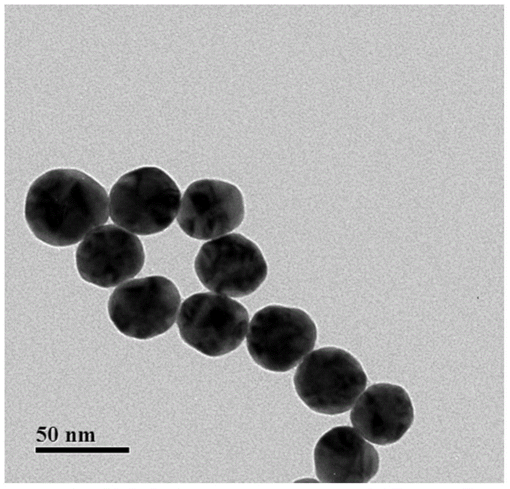 Au@ p-mercapto-phenylmercaptan @Au combination Raman probe and production method thereof