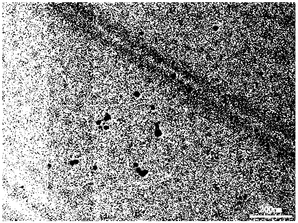 Bactericidal nanocluster, preparation method and application thereof