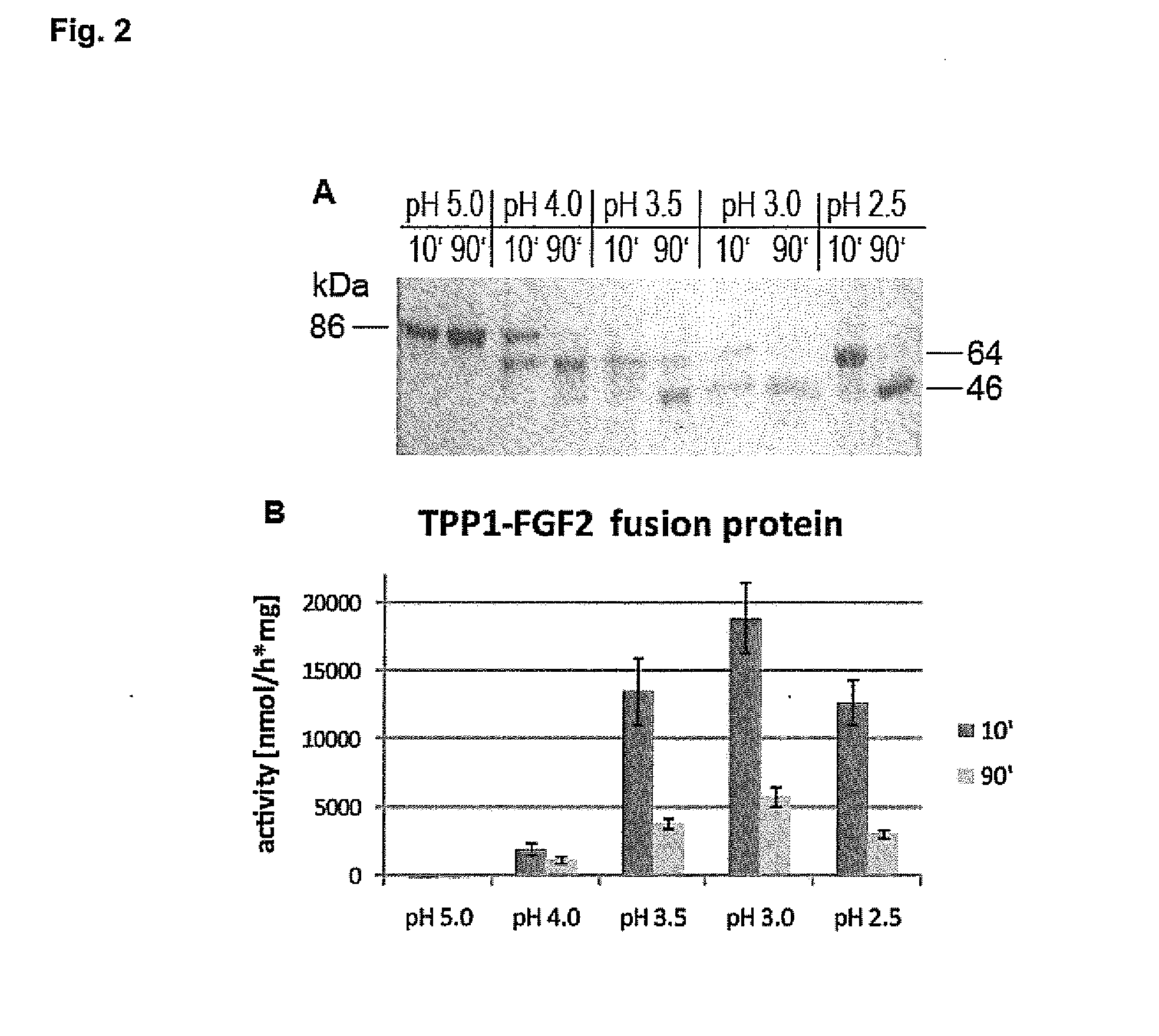 Substances and Methods for the Treatment of Lysosmal Storage Diseases