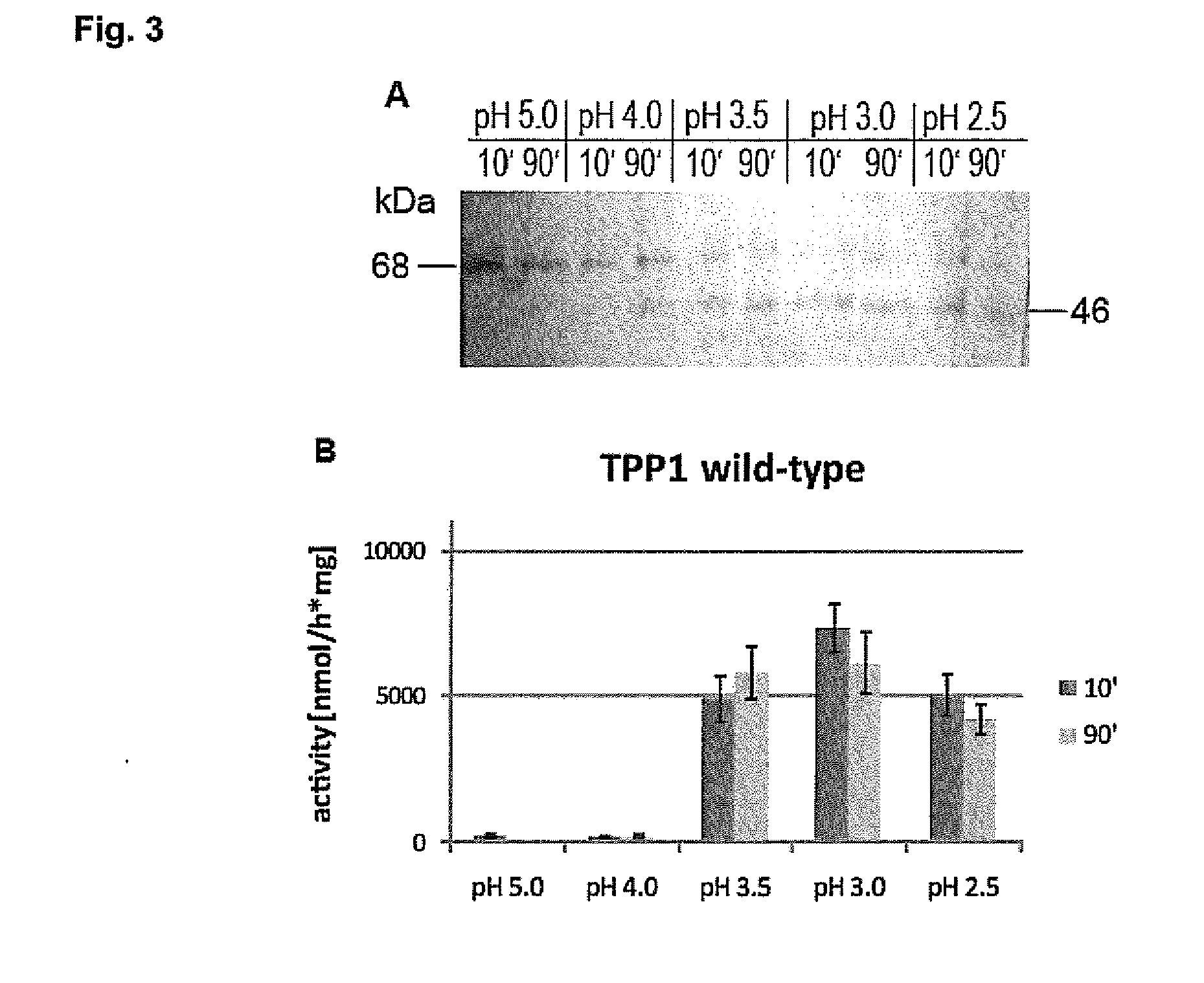 Substances and Methods for the Treatment of Lysosmal Storage Diseases