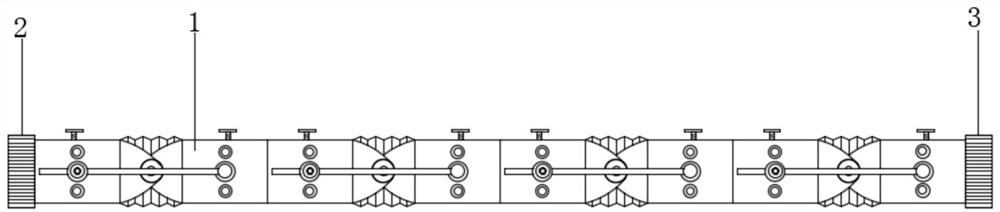 Eel freezing and shaping device