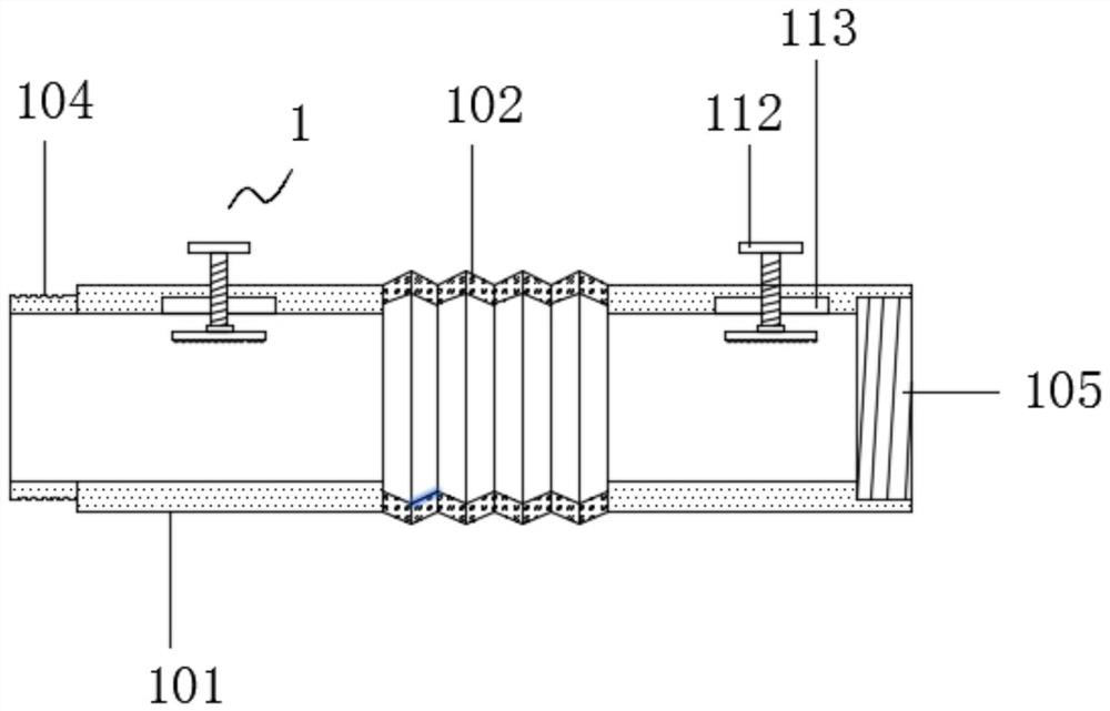 Eel freezing and shaping device