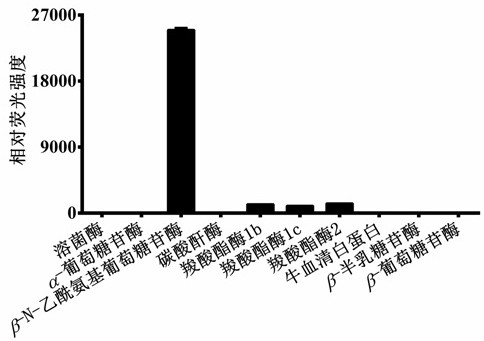 A fluorescent probe for detecting n-acetyl-β-d-glucosaminidase and its application