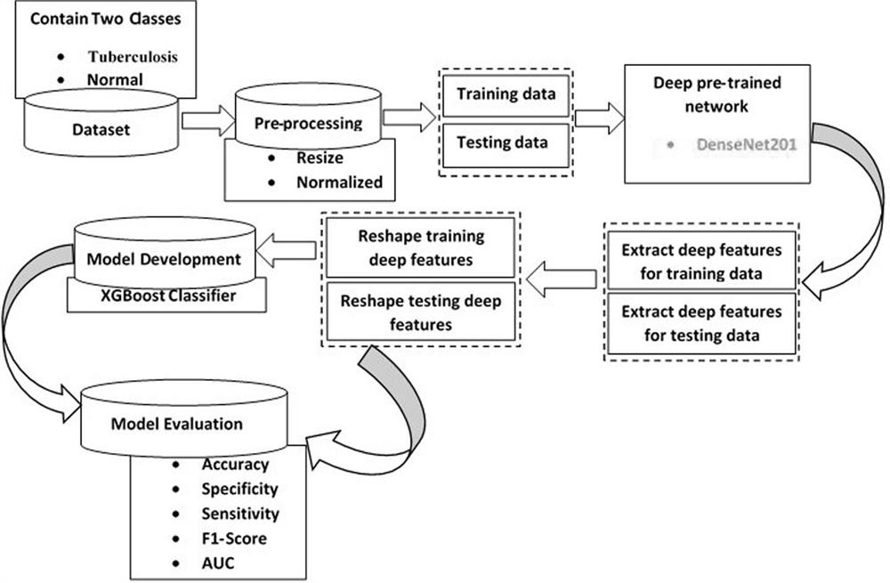 Pulmonary tuberculosis recognition system based on pre-training model