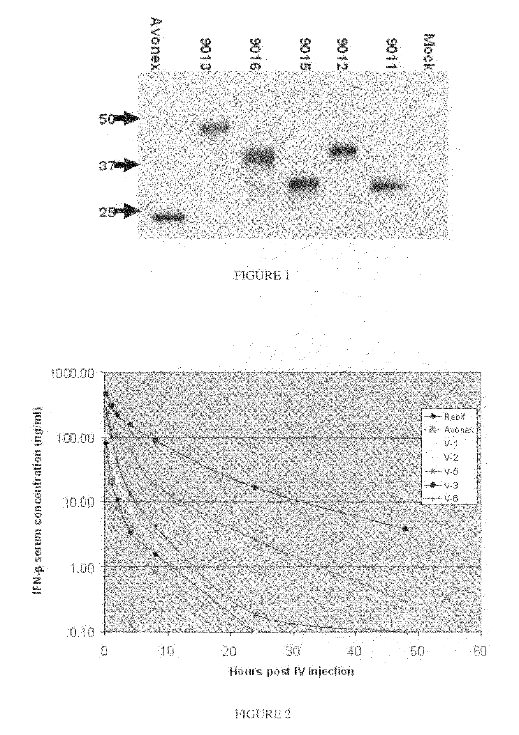 Long-acting interferons and derivatives thereof and methods thereof