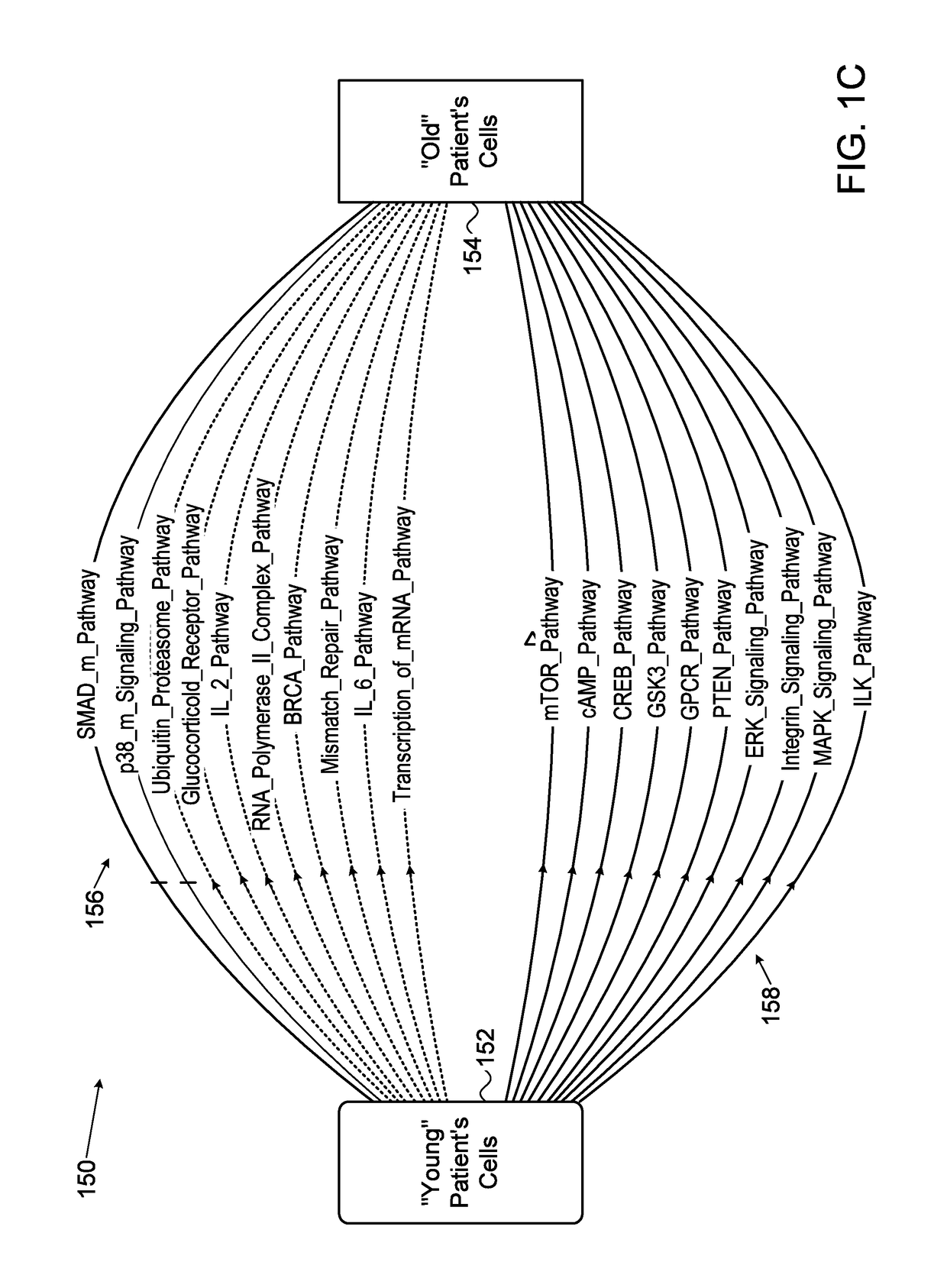 Systems, methods and software for ranking potential geroprotective drugs