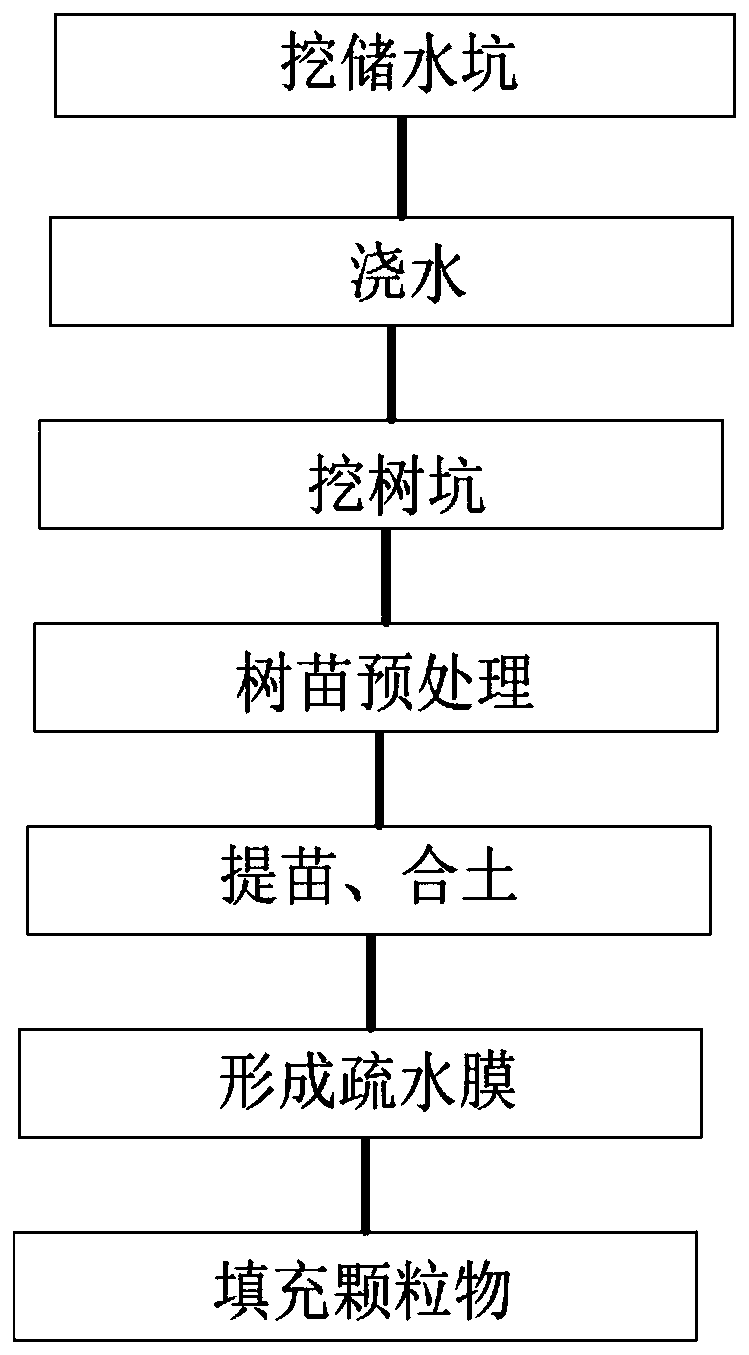 Tree planting method for arid area