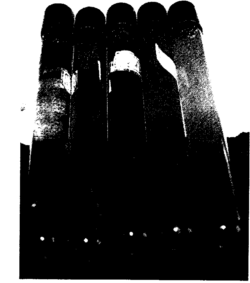 Cellulose decomposition compound bacteria system and method for carrying out co-culture on cellulose decomposition compound bacteria system and sulfate reducing bacteria