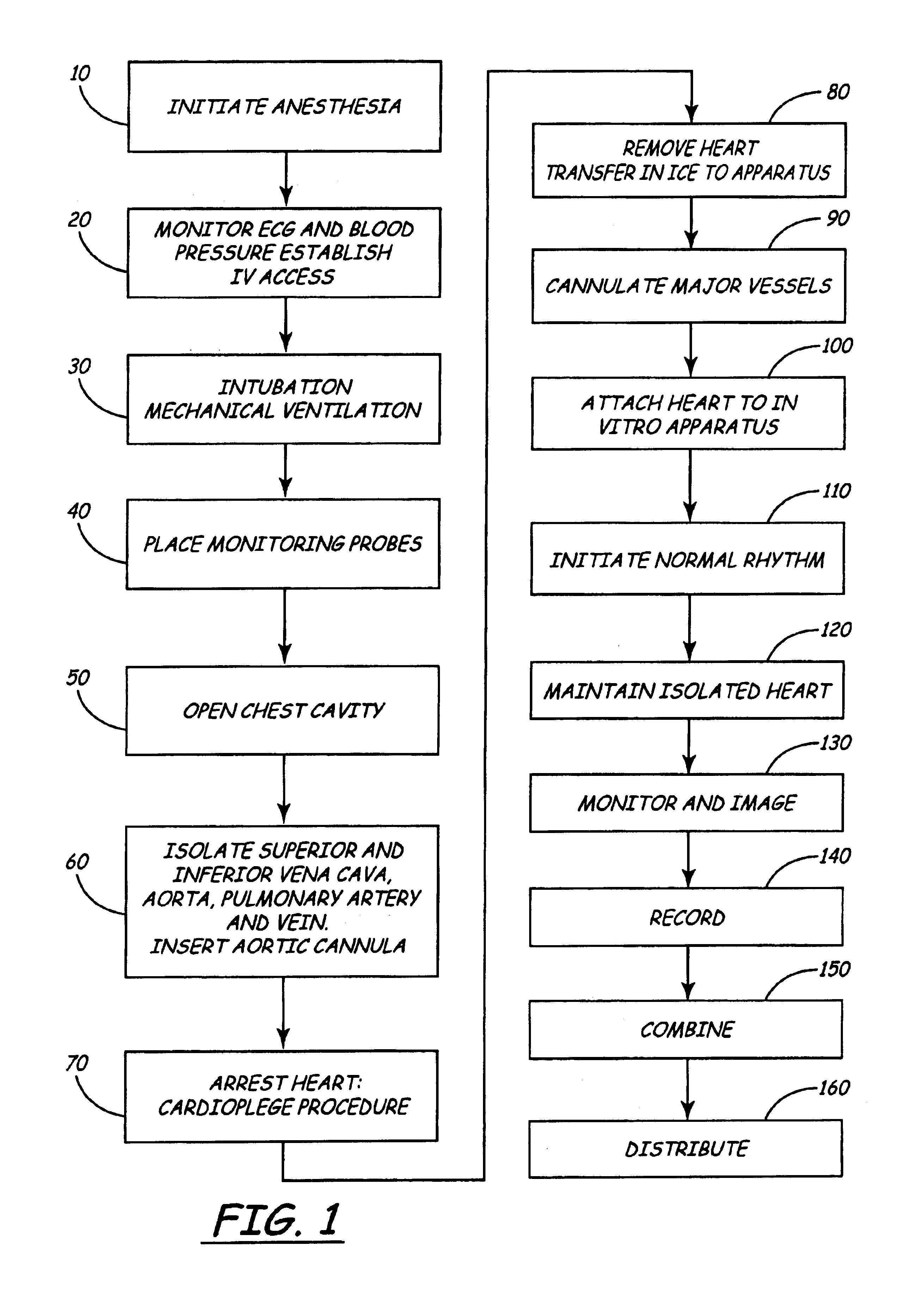 Isolated perfused heart preparation and method of use