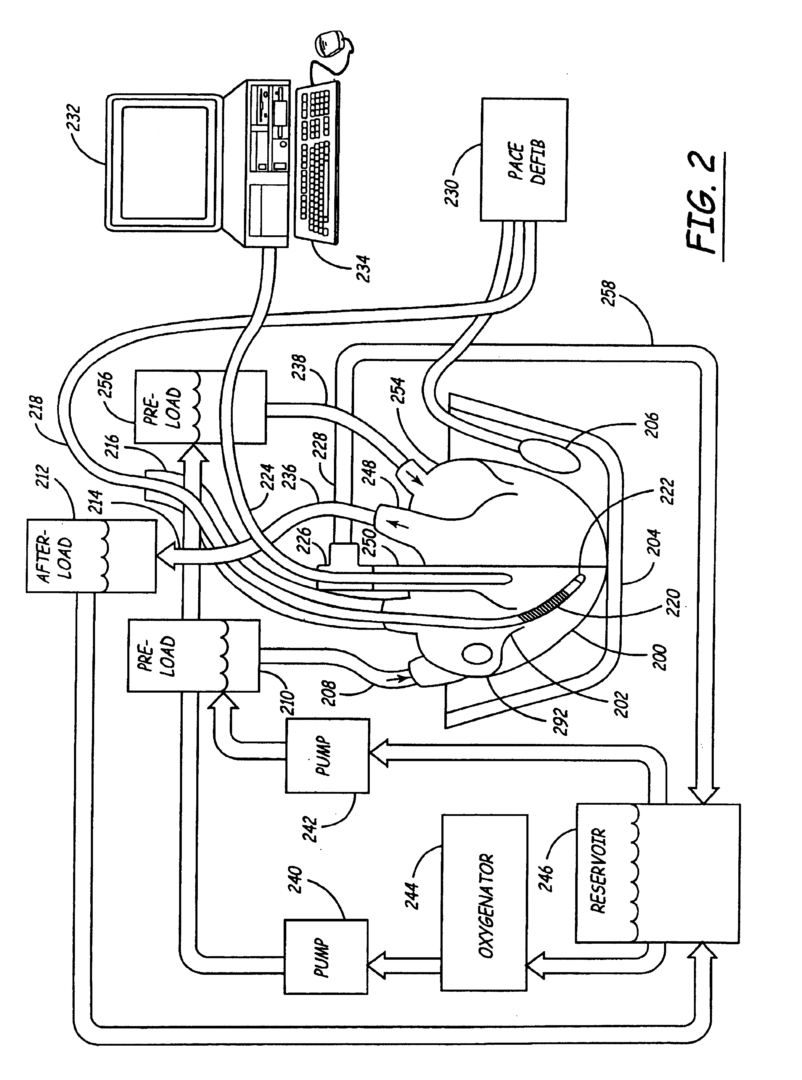 Isolated perfused heart preparation and method of use