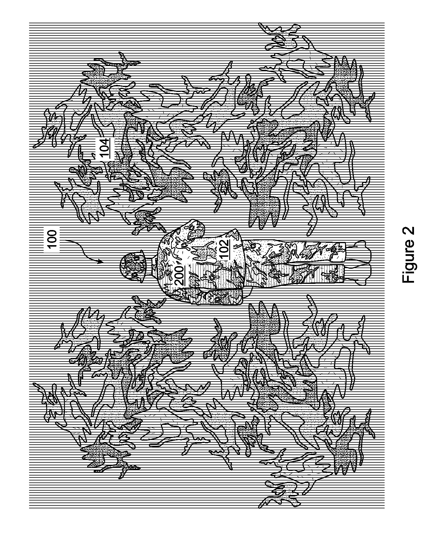 Camouflage in the near ultraviolet spectrum