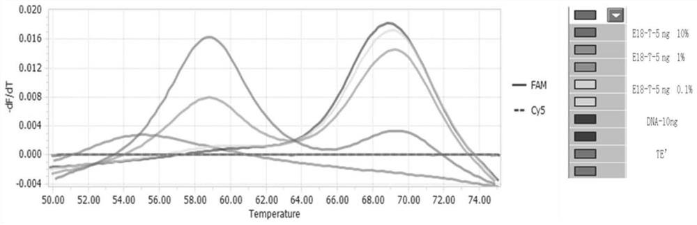 Nucleic acid composition and kit for detecting EGFR gene mutation and detection method of EGFR gene mutation