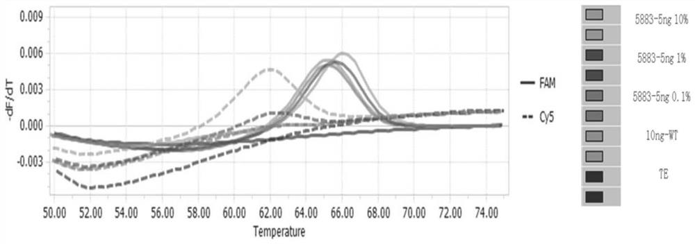 Nucleic acid composition and kit for detecting EGFR gene mutation and detection method of EGFR gene mutation