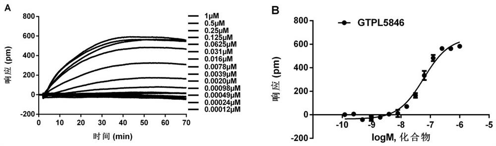 Cell screening model of unmarked membrane receptor GPR84 and application of cell screening model