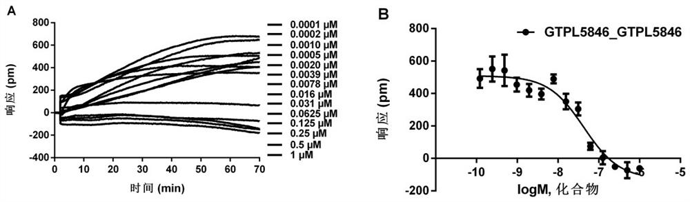 Cell screening model of unmarked membrane receptor GPR84 and application of cell screening model