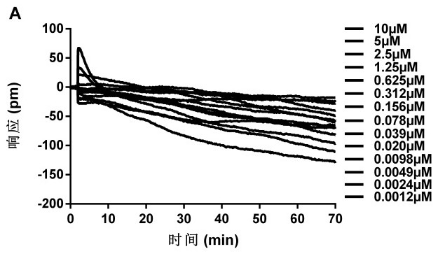 Cell screening model of unmarked membrane receptor GPR84 and application of cell screening model