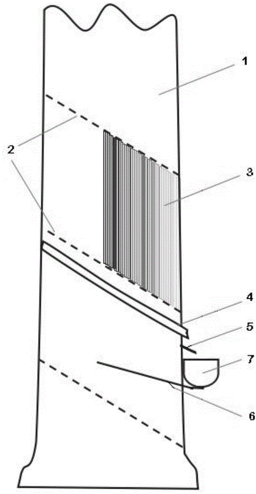 Rubber tree rubber tapping method