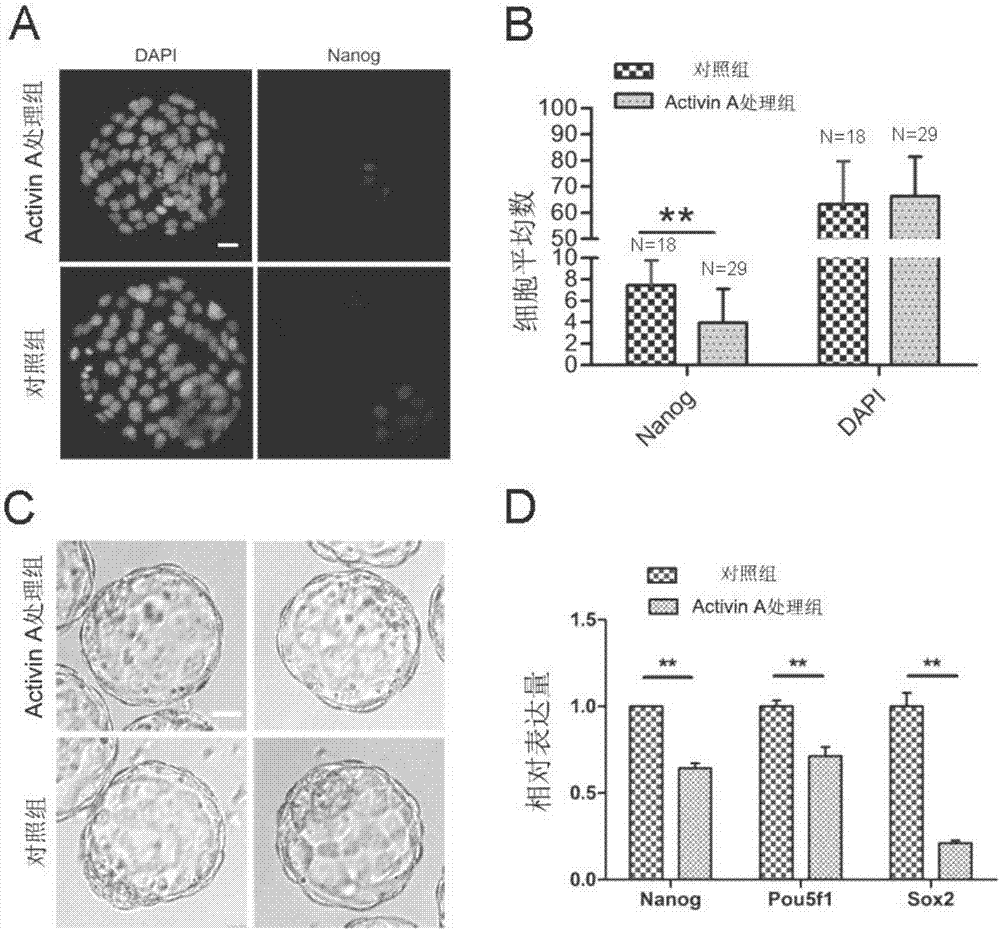 Method for improving chimeric capability of ES cells of mouse to epiblasts of early embryos