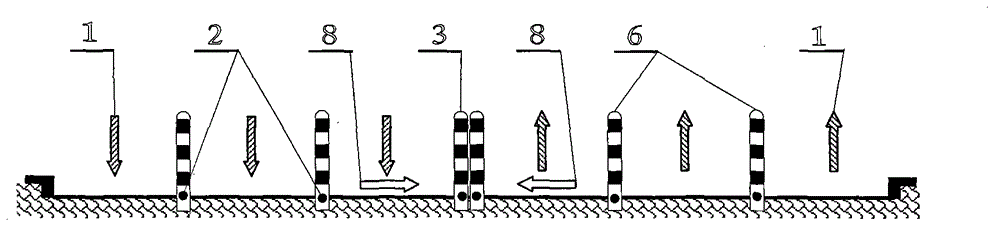 Device for allowing passerby to safely pass through zebra lines