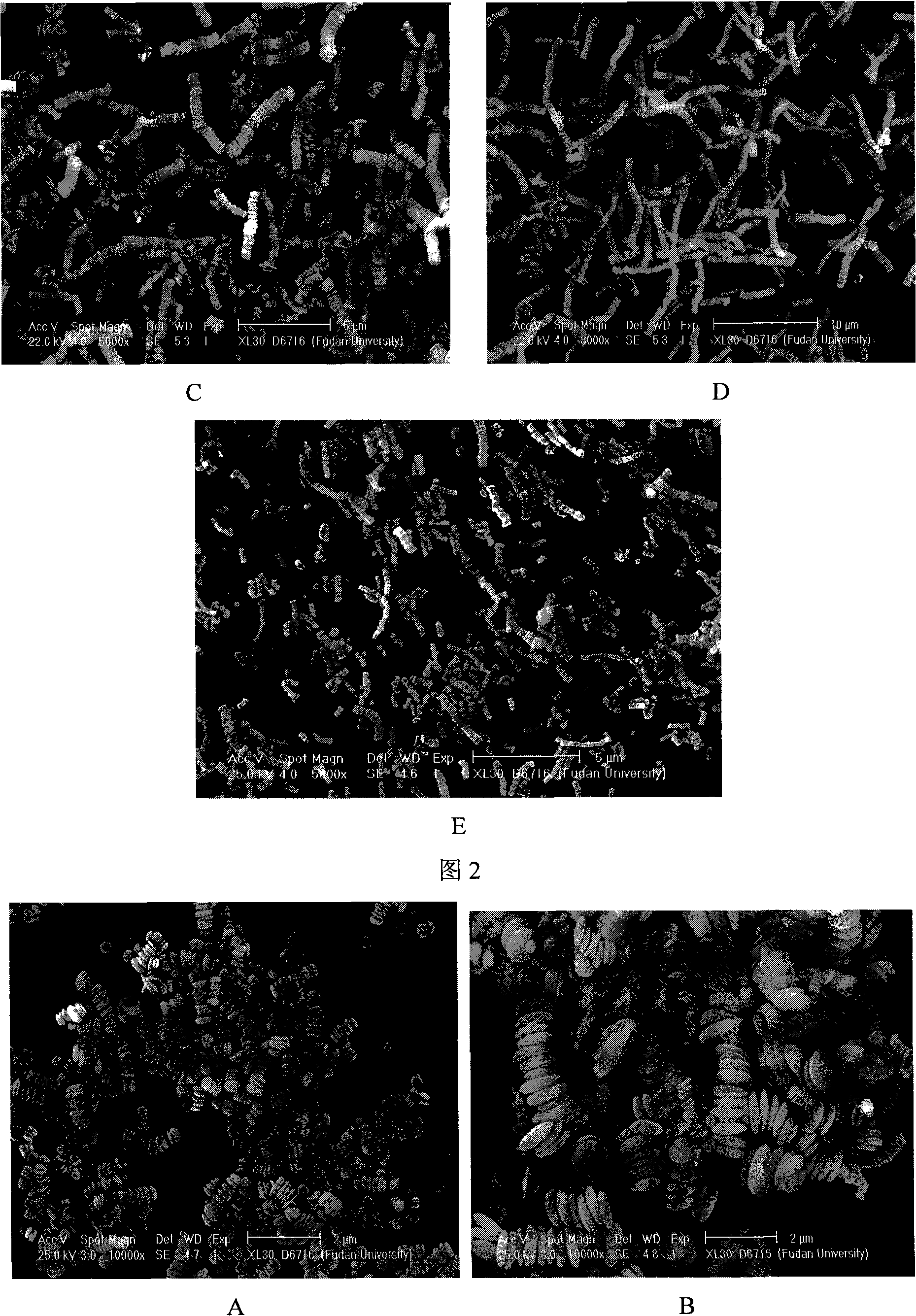 Method for preparing lanthanum subcarbonate nana-/micro-crystal by double hydrolysis regulation