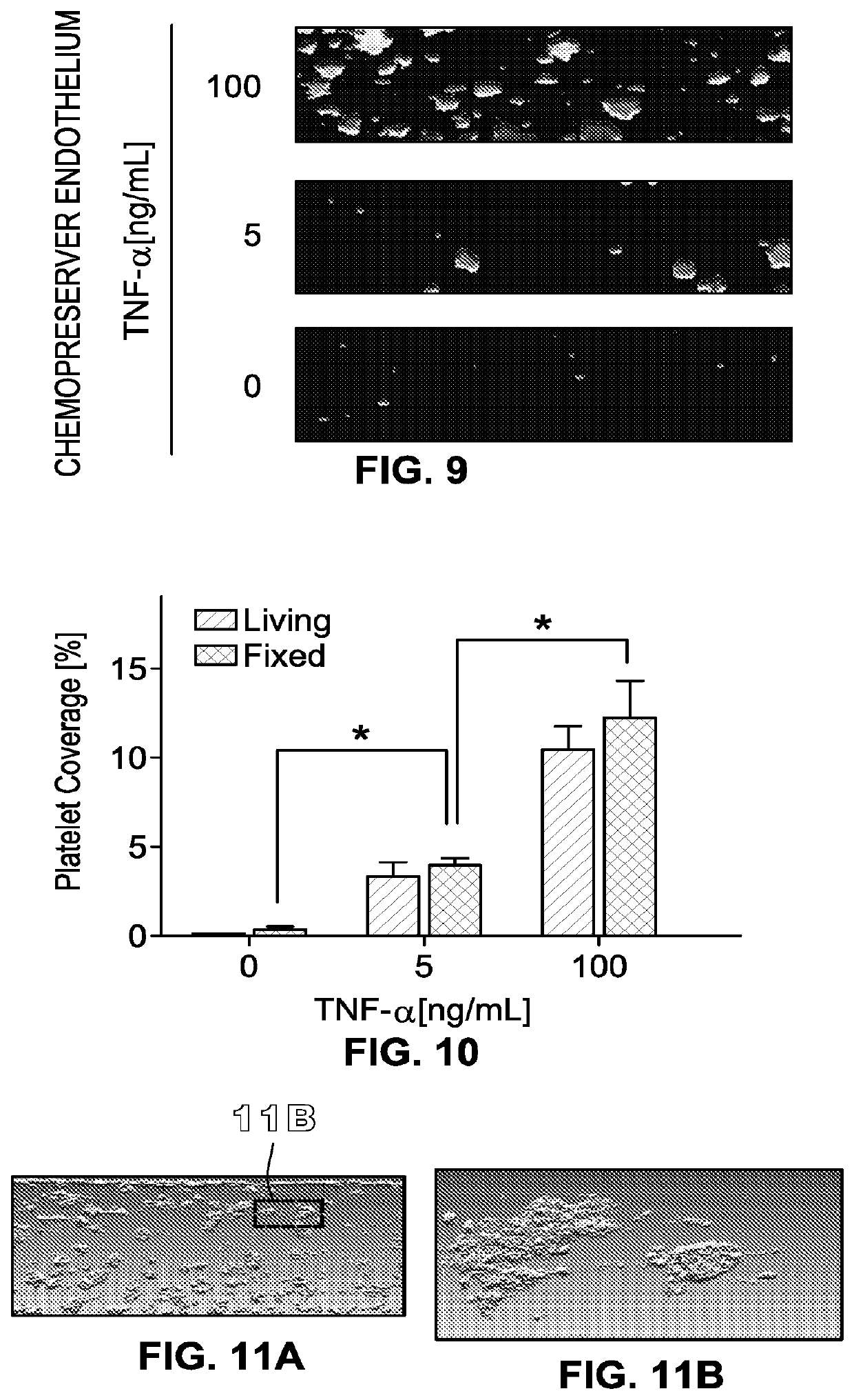 Methods, systems, and compositions for determining blood clot formation, and uses thereof