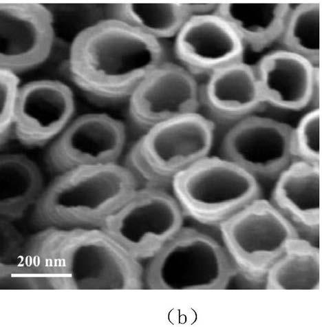 Electrochemical self-doped WO3 particle-supported TiO2 nanotube, and preparation method and application thereof